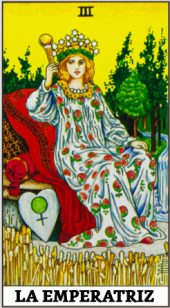 card-13