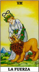card-18