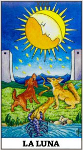 card-15