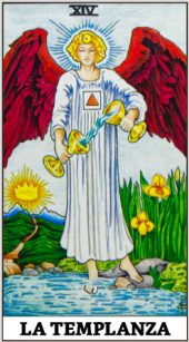 card-6