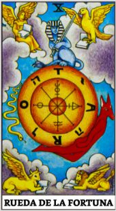 card-14